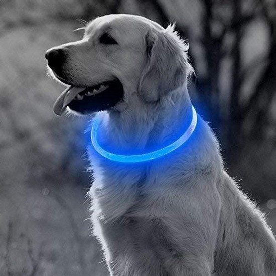 Blauwe LED Halsband voor honden Medium / Blauw verlichte halsband /  Lichtgevende... | bol.com