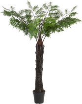 J-Line kunstplant palmboom 190 x 150