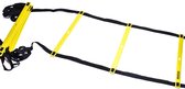 Booster Athletic Dept -Loopladder 6 meter - Trainingsladder - Agility Ladder