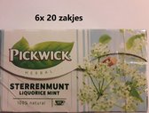 Pickwick thee - Sterrenmunt - multipak 6x 20 zakjes