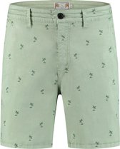 Shiwi chino jack palm Groen-S (31-32)