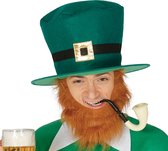 Groene St Patricksday hoge hoed - Verkleedkleding voor volwassenen