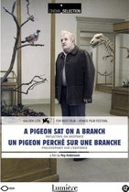 A Pigeon Sat On A Branch