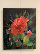 Olieverf schilderij Hibiscus rood
