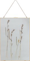 BePureHome Pressed Fotolijst Met Droogbloemen - Metaal - 70x50x1