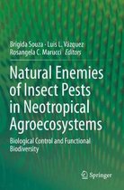 Natural Enemies of Insect Pests in Neotropical Agroecosystems