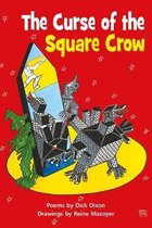 The Curse of the Square Crow