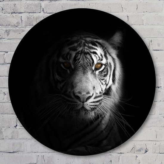 Muurcirkel ⌀ | Eye of the tiger | Aluminium Dibond