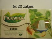 Pickwick thee - Detox - multipak 6x 20 zakjes