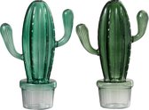 J-Line Vaas Cactus+Pot Glas Mix Groen Assortiment Van 2