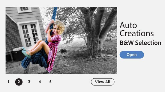 Bol Com Adobe Photoshop Elements 21 Nederlands Engels Frans Duits Windows Download