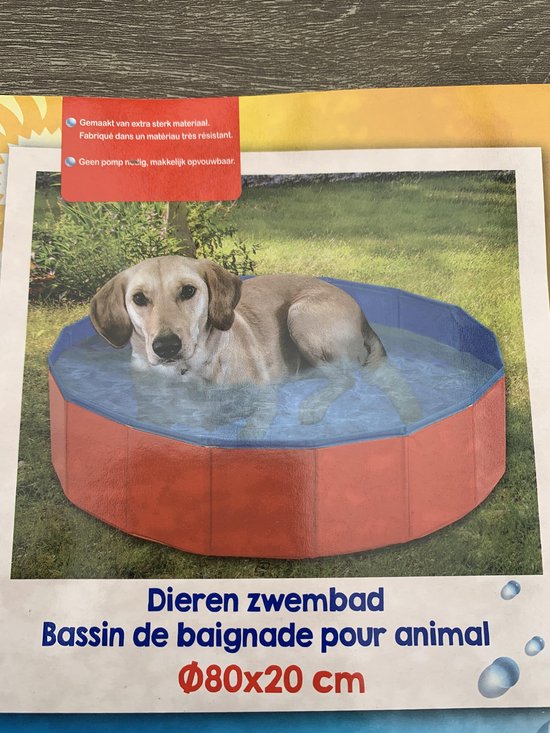 Harde ring Moedig Ondoorzichtig Honden zwembad / dieren zwembad dog pool 80 x 80 x 20 Cm in handige tas |  bol.com
