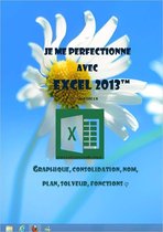 Je me perfectionne avec Excel 2013 - Gestion graphique