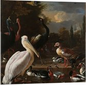 Acrylglas - Oude meesters - Het drijvend veertje, Melchior d'Hondecoeter, ca. 1680 - 80x80cm Foto op Acrylglas (Met Ophangsysteem)