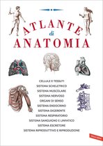 Netter - Atlante di Anatomia Umana Sistematica — Libro di Frank Henry Netter