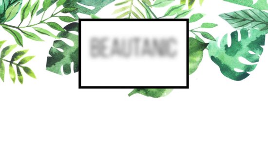 Grote Ficus Lyrata (Tabaksplant) kamerplant| Kamerplant in pot |  ↕ Hoogte 130cm | Ø27cm