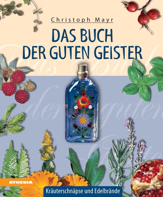 Das Buch der guten Geister - cover