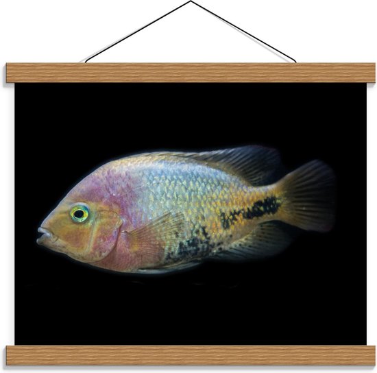 Schoolplaat – Pastelgekleurde Vis op Zwarte Achtergrond - 40x30cm Foto op Textielposter (Wanddecoratie op Schoolplaat)