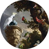 Graphic Message - Wandcirkel - De Menagerie - Hondecoeter - Forex Cirkel - Rond Schilderij - Print