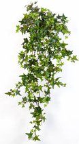 Strelitzia Nicolai in Nature Row Egg Planter wit | paradijsvogelplant