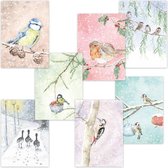 carte de Noël | Ensemble de 7 | Vogels en hiver | Illu-Straver