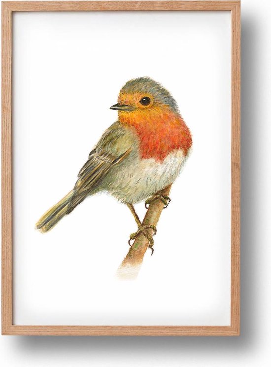 World of Mies poster roodborstje - A4 - mooi dik papier - Snel verzonden! - vogel - dieren in aquarel - geschilderd door Mies