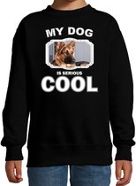 Duitse herder honden trui / sweater my dog is serious cool zwart - kinderen - Duitse herders liefhebber cadeau sweaters 3-4 jaar (98/104)
