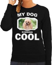 Poedel honden trui / sweater my dog is serious cool zwart - dames - Poedels liefhebber cadeau sweaters XS