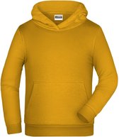 James And Nicholson Kinderen/Kinderen Basic Hoodie (Goudgeel)