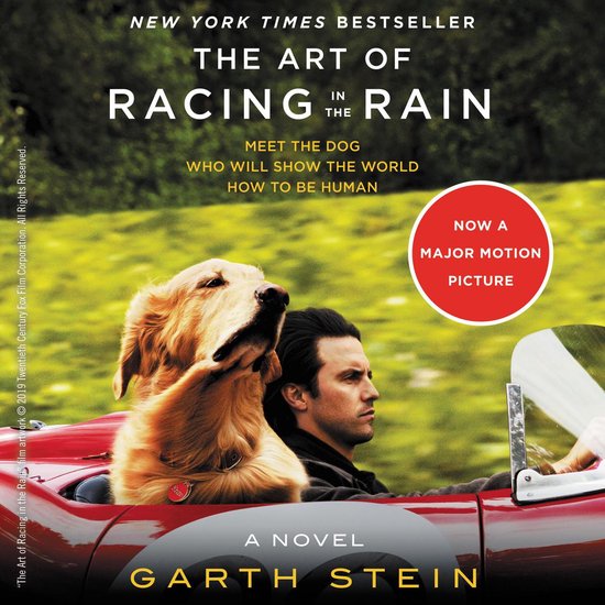 The Art of Racing in the Rain - cover
