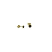 Aramat jewels ® - Ronde zweerknopjes kristal zwart chirurgisch staal goudkleurig 8mm unisex