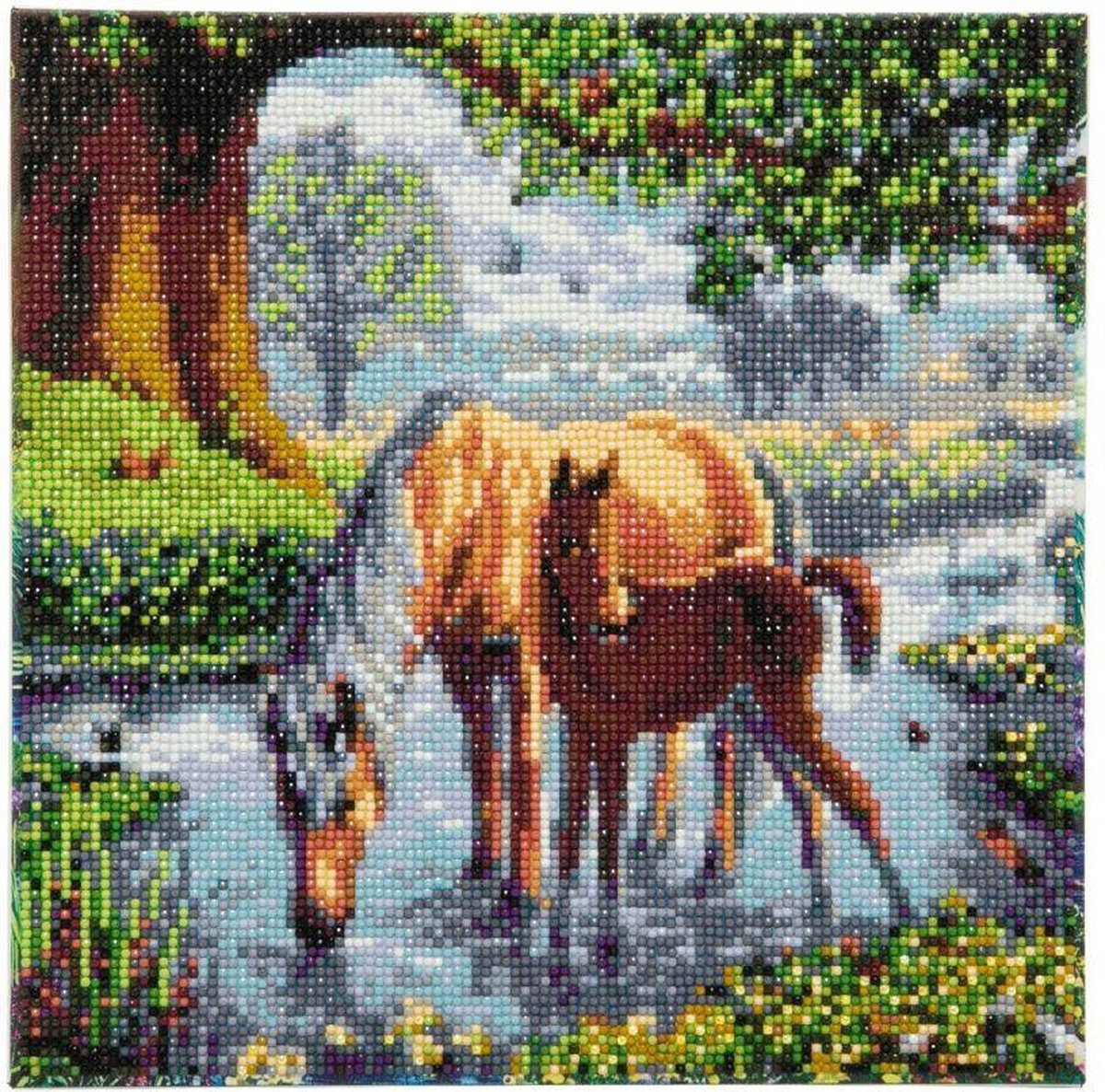 Vedes Diamond Painting paarden Crystal Art 30x30 cm canvas set.