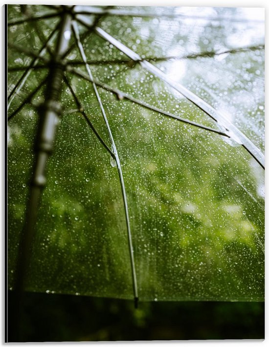 Dibond - Natgeregende Paraplu bij Planten - 30x40cm Foto op Aluminium (Wanddecoratie van metaal)