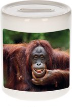 Dieren gekke orangoetan foto spaarpot 9 cm jongens en meisjes - Cadeau spaarpotten gekke orangoetan apen liefhebber