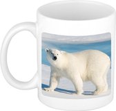 Dieren foto mok witte ijsbeer - ijsberen beker wit 300 ml
