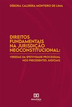 Direitos Fundamentais na Jurisdição Neoconstitucional