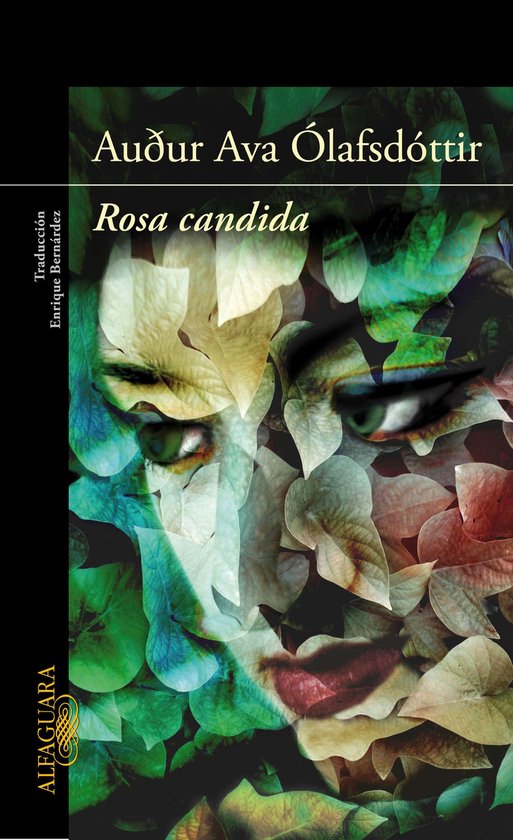 Rosa candida - cover