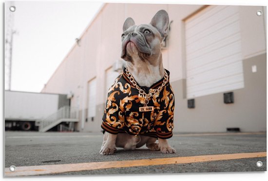 Tuinposter – Frenchie Hond in Gangsteroutfit - 90x60cm Foto op Tuinposter  (wanddecoratie voor buiten en binnen)