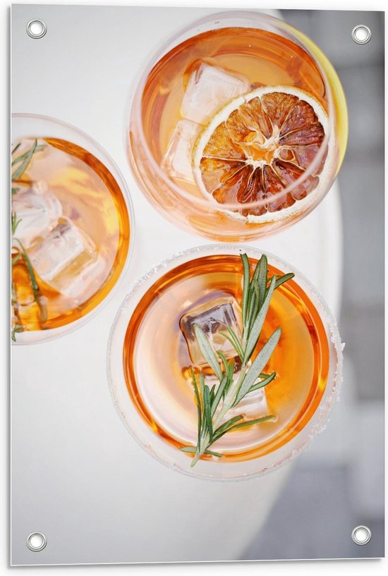Tuinposter – Oranje Drinken in een Glas - 40x60cm Foto op Tuinposter  (wanddecoratie voor buiten en binnen)