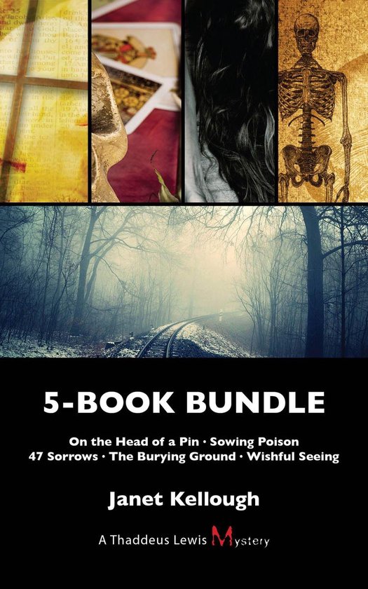 A Thaddeus Lewis Mystery - Thaddeus Lewis Mysteries 5-Book B ... - cover