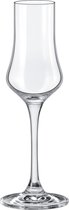 RONA - Grappa/likeur glas 10cl "Edition" Kristal (6stuks)
