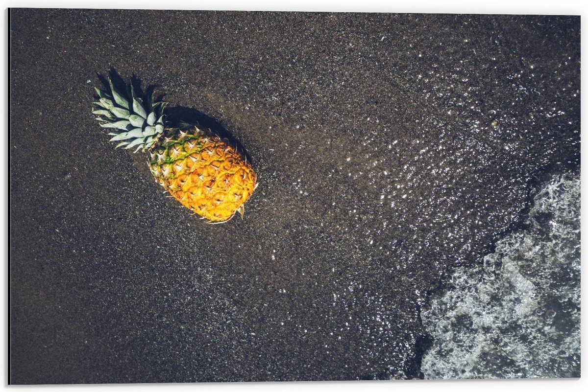 Dibond - Ananas bij het Water - 60x40cm Foto op Aluminium (Wanddecoratie van metaal) op Prijzenvolger.com
