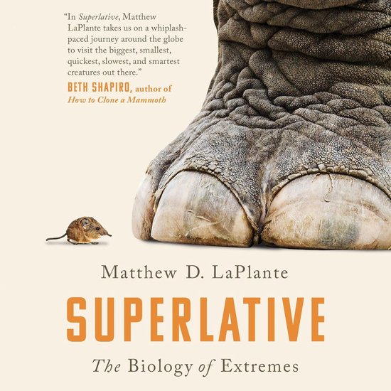 Superlative - cover