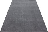 Laag polig tapijt in de kleur licht grijs