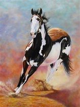 Premium Paintings - Paard in Gallop - Diamond Painting Volwassenen - Pakket Volledig / Pakket Full - 30x40 cm