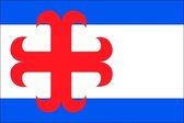 Vlag gemeente Zutphen 70x100 cm