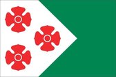 Vlag gemeente Maasdonk 100x150 cm