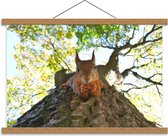 Schoolplaat – Etende Eekhoorn op een Boom - 60x40cm Foto op Textielposter (Wanddecoratie op Schoolplaat)