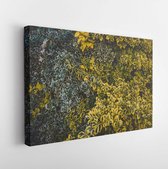 Spindle leafs, leaf ornament. Dark green leaf texture.  - Modern Art Canvas  - Horizontal -652962925 - 115*75 Horizontal