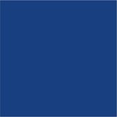 Houten kralen, d 10 mm, gatgrootte 3 mm, blauw, 20 gr/ 1 doos
